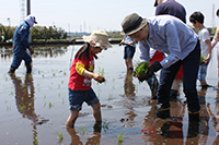 田植え体験1