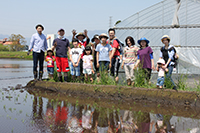 田植え体験2