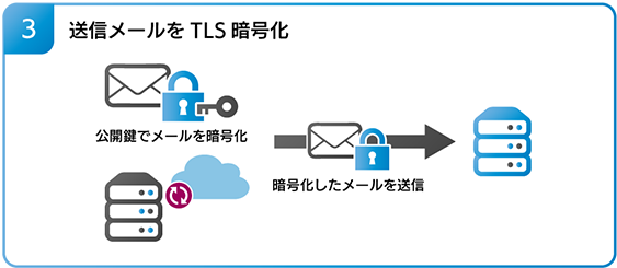 送信メールを TLS 暗号化