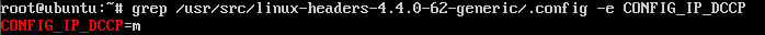 CONFIG_IP_DCCPオプション実行コマンド