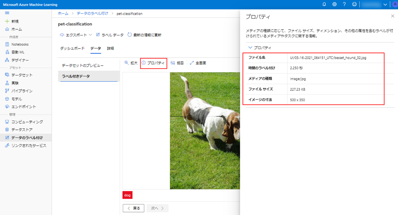 Form Recognizer
