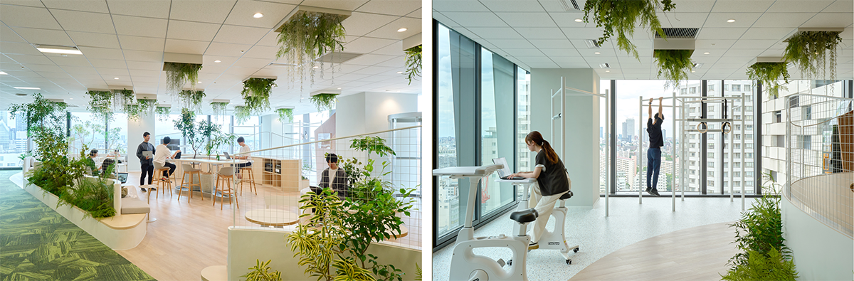 Wellness area photo