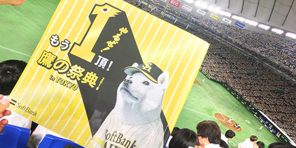 ホークス応援！「鷹の祭典 2018」に行ってきた