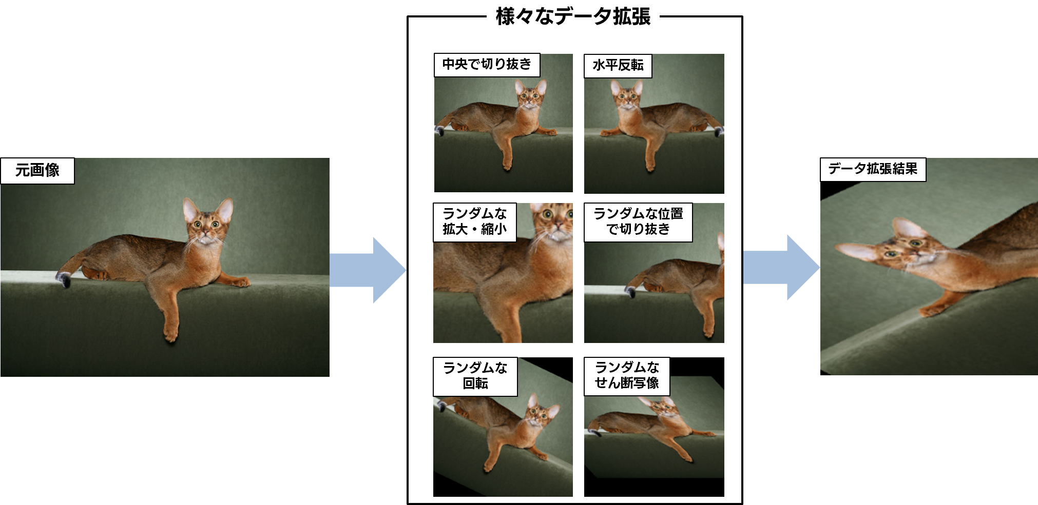 データ拡張